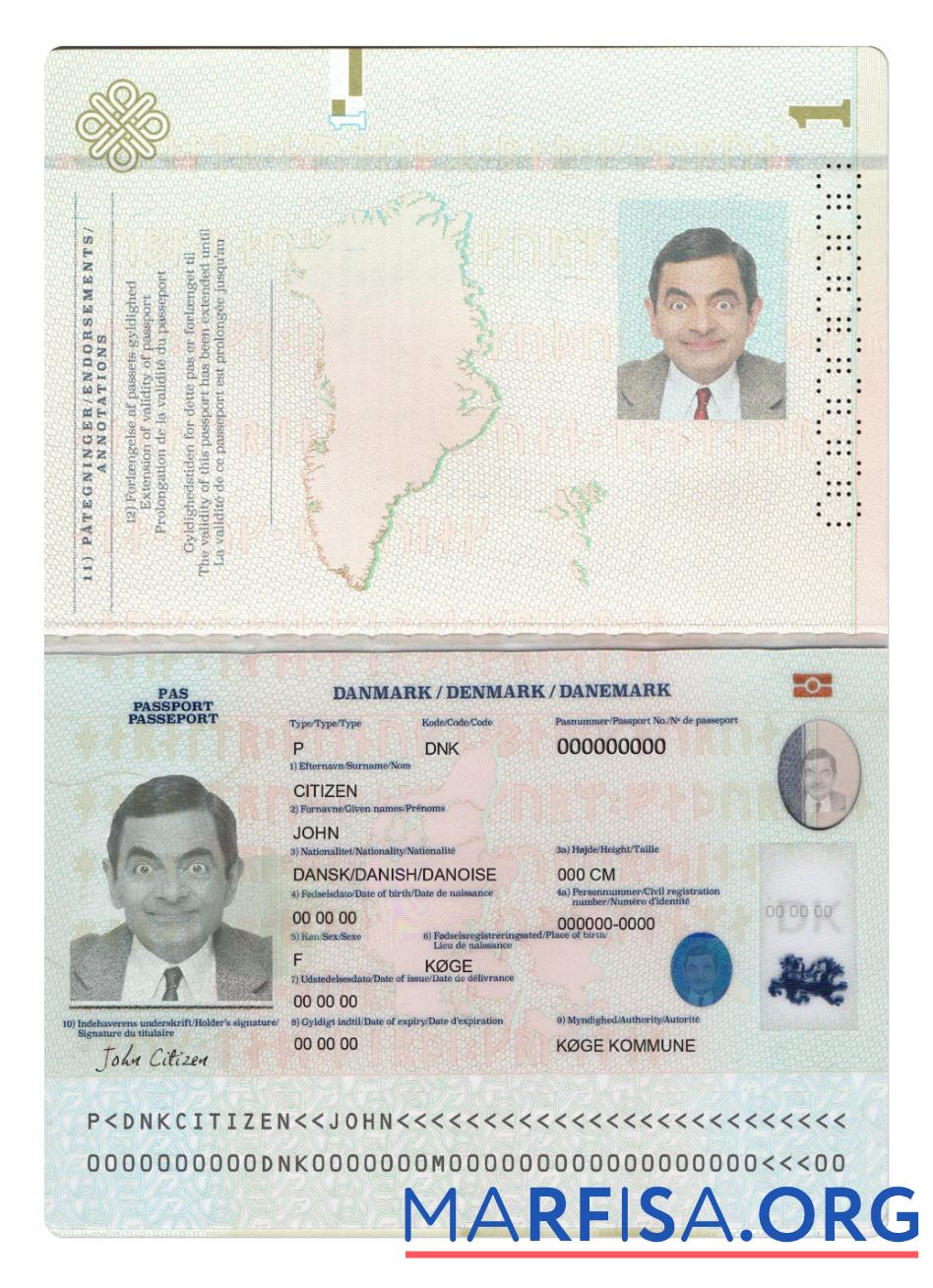 Realistic Denmark passport 2022 present example